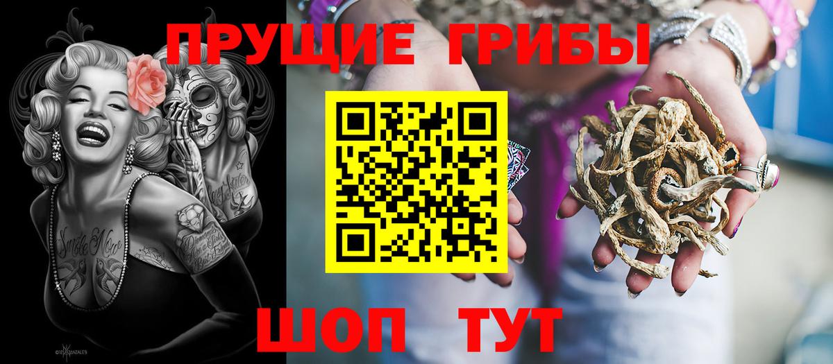 Галлюциногенные грибы Psilocybe Набережные Челны